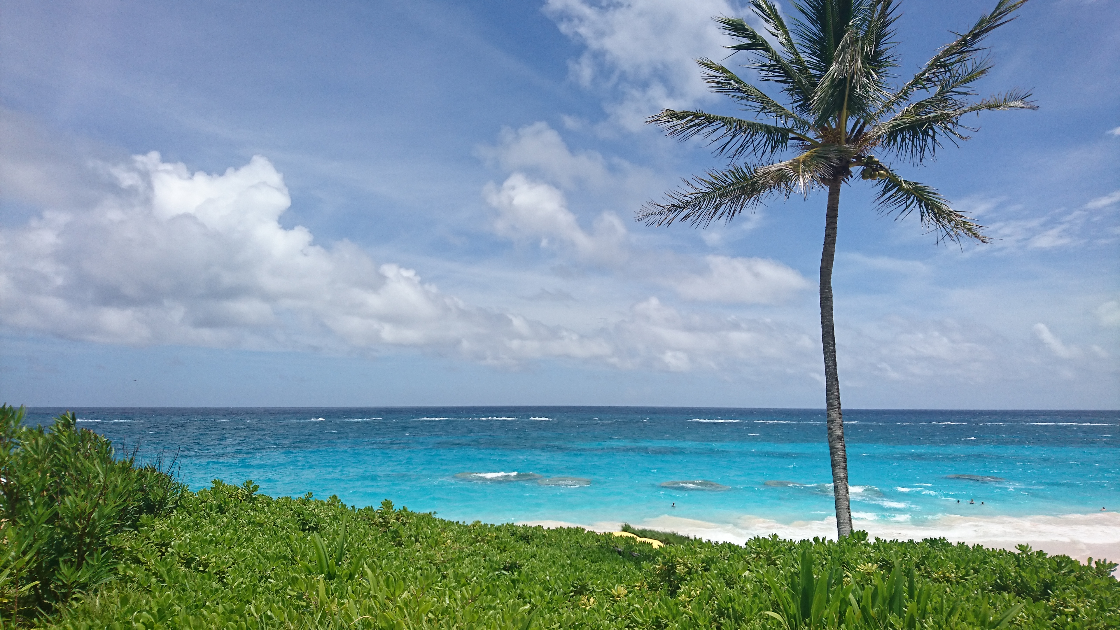 Elbow Beach, Bermuda