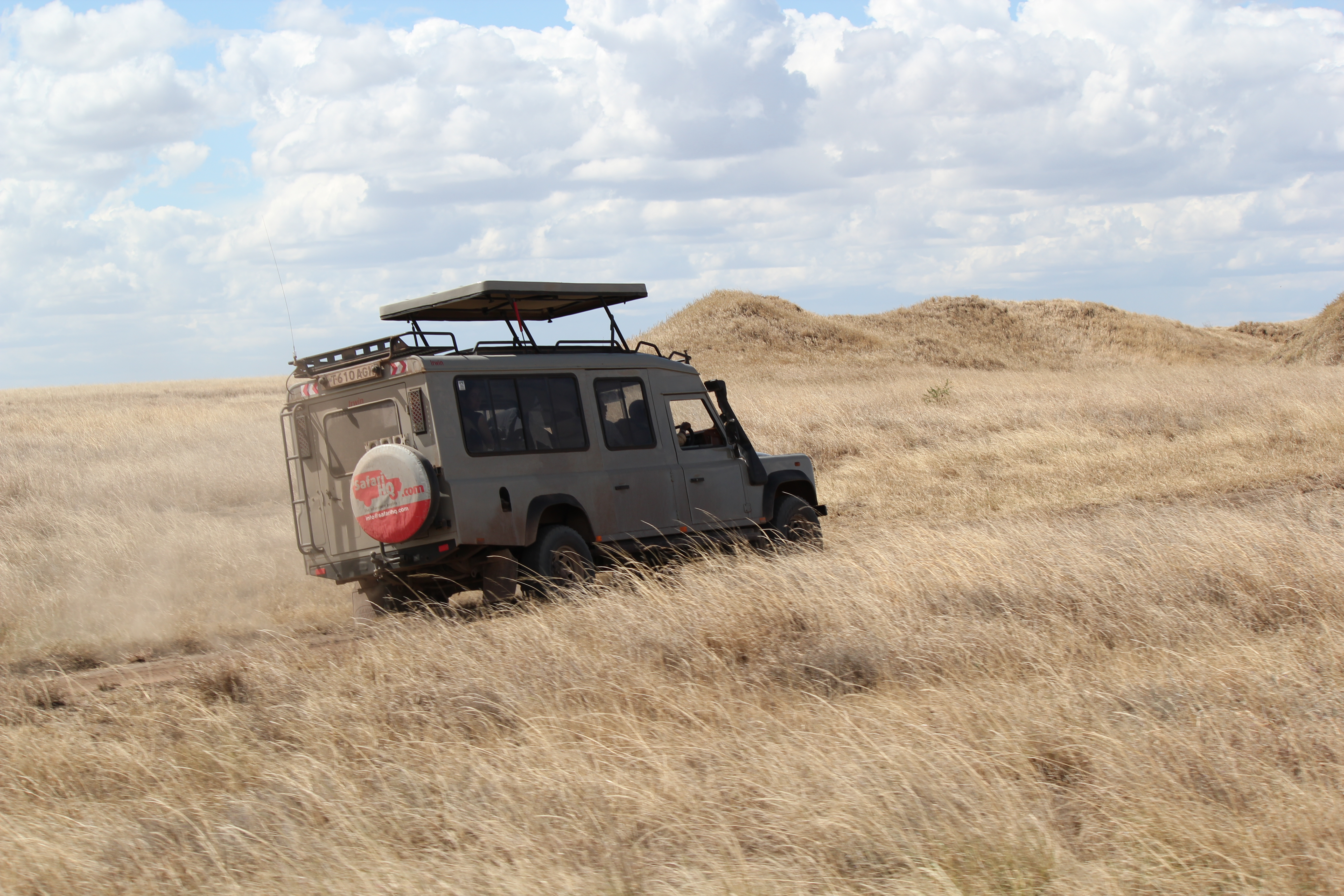 Acacia Africa Safari